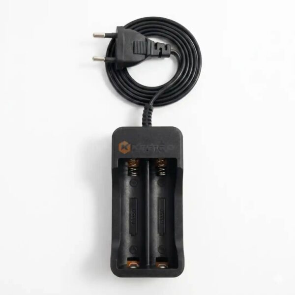 CHARGEUR PILE A18650 2PCS GM + RALLONGE MH-25005 HWD