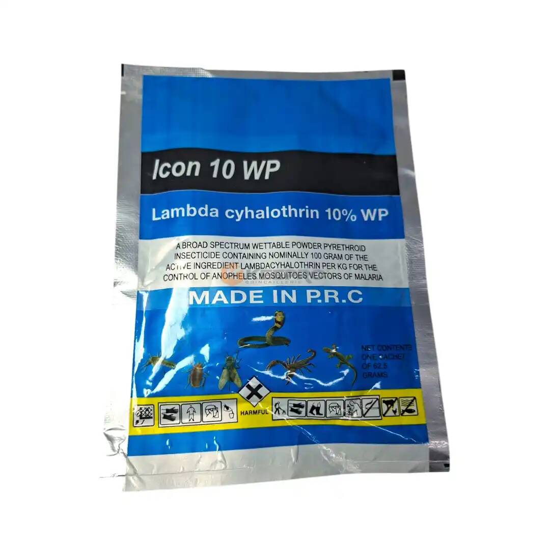 2025/11/14566.webp