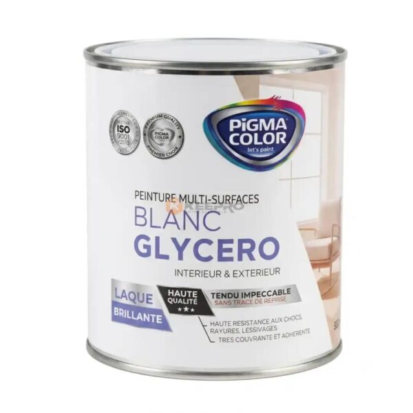 LAQUE BLANC 800G PIGMA