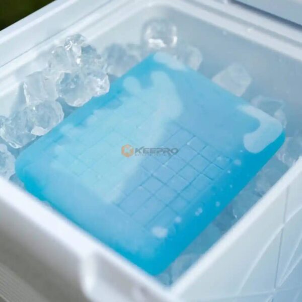 CONSERVATEUR DE FROID DE GLACIERE 22X18CM