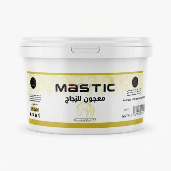 MASTIQUE VITRE 800G VICTOIR/NASR