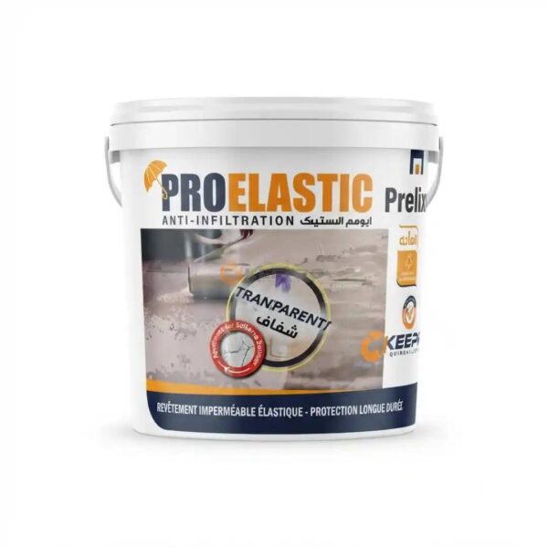 PEINTURE ISOLANT ETANCHE TRANSP 1KG PROELASTIC PROFINISH