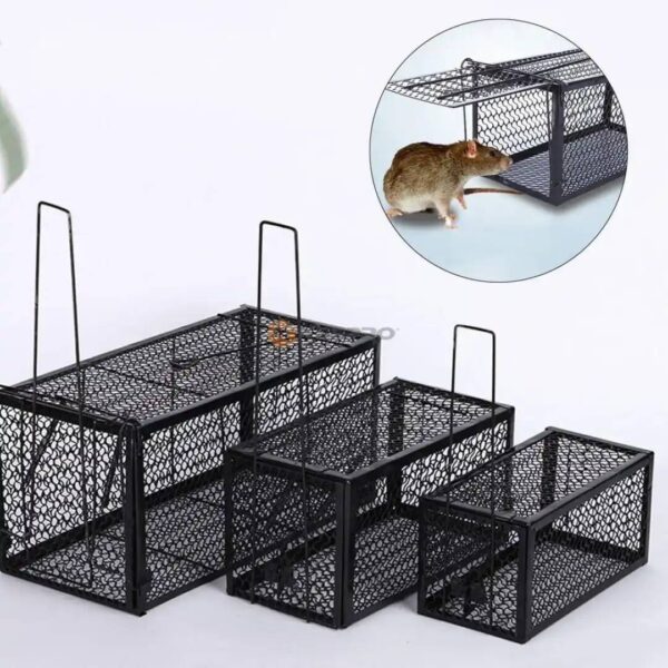 ATTRAPE RAT CAGE METAL NOIR PM