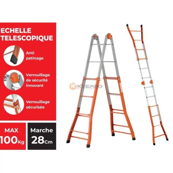 ECHELLE ORANGE B45-CP5 PAPILLON 1ER BEPPINA