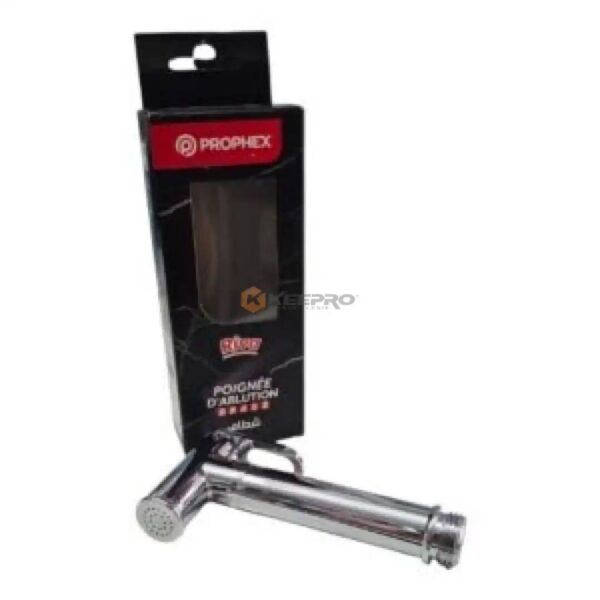 DOUCHETTE ABLUTION S/F INOX CHROME ROND RIVA BRASS 710104 PROPHEX