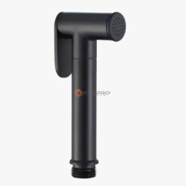 DOUCHETTE ABLUTION S/F INOX NOIR ROND RIVA BRASS 710106 PROPHEX