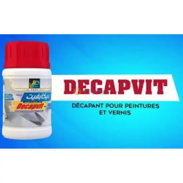 DECAPANT PEINTURE GEL 300G DECAPVIT SNIC