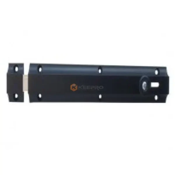 TARGETTE PLAT A TIRETTE LUX NOIR N°4" 100-125MM