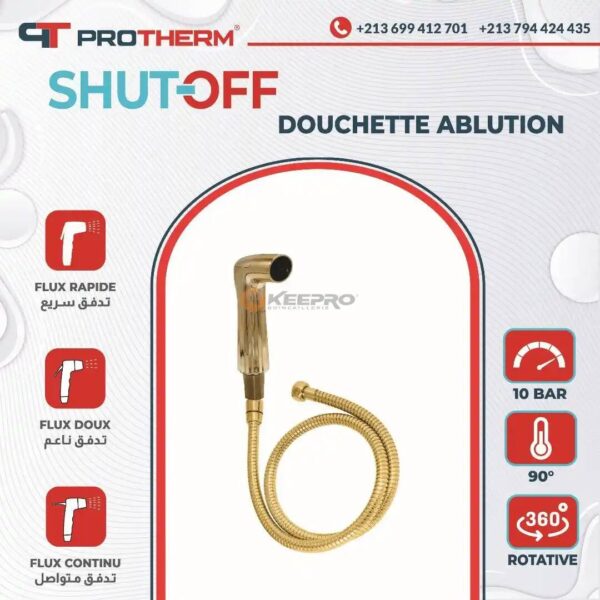 DOUCHETTE ABLUTION A/F DORE GOLD PT-R02-G PROTHERM
