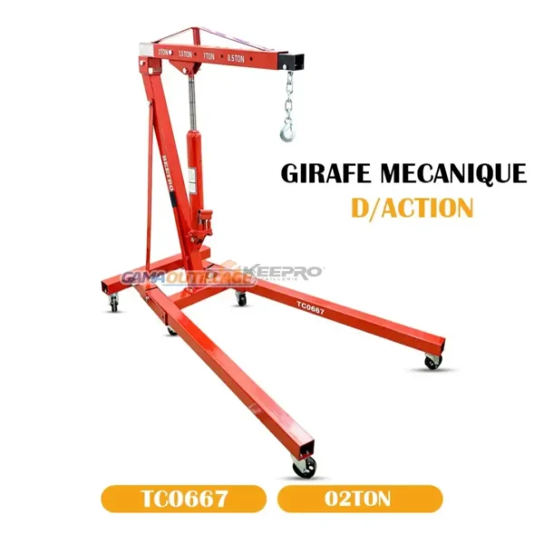 GIRAFFE MECANIQUE 2T TC0667 BEETRO
