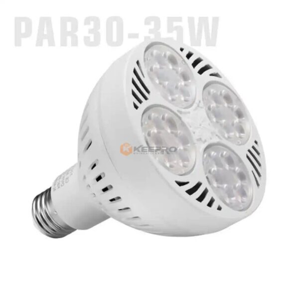 LAMPE LED PAR30 VITRINE ARTISTIQUE BLANC 35W FELANG MAG