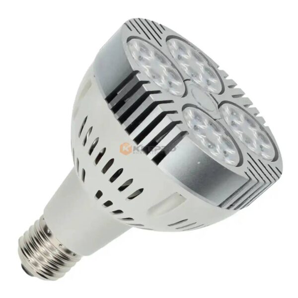 LAMPE LED PAR30 VITRINE ARTISTIQUE BLANC 35W GALAXY