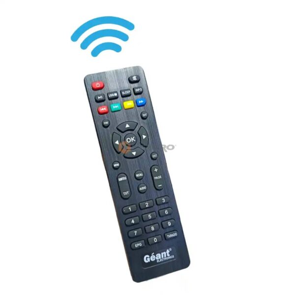 TELECOMMANDE DEMO-RECEPTEUR UNIVERSEL PM GEANT 1ER