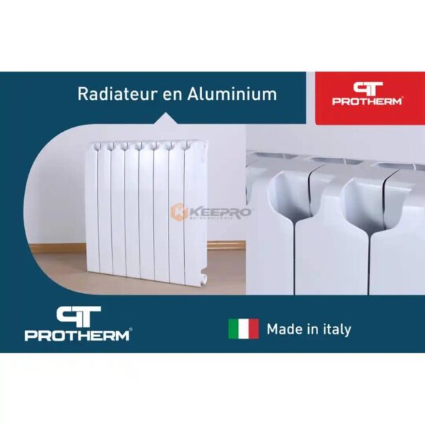 RADIATEUR 10 ELEM ITALY PROTHERM