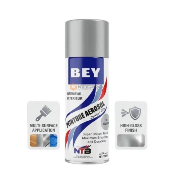 SPRAY GRIS SILVER N°36 BEY